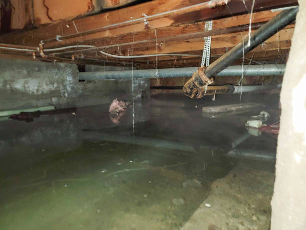 Water damage restoration